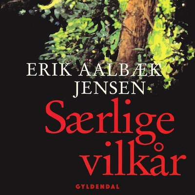 Særlige vilkår – omslag til lydbogen af Erik Aalbæk Jensen