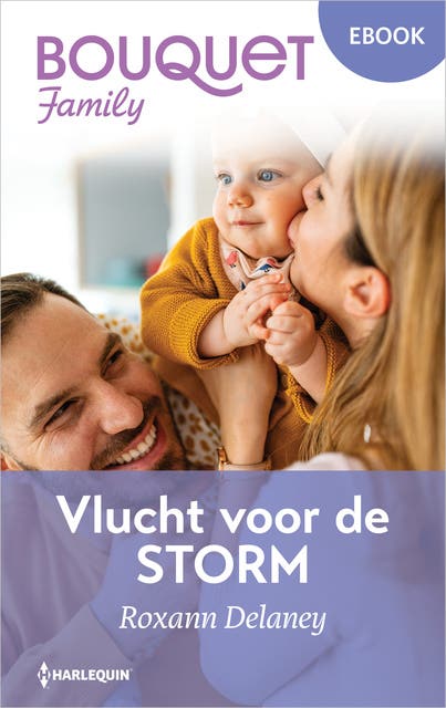 Vlucht voor de storm – omslag van het luisterboek van Roxann Delaney