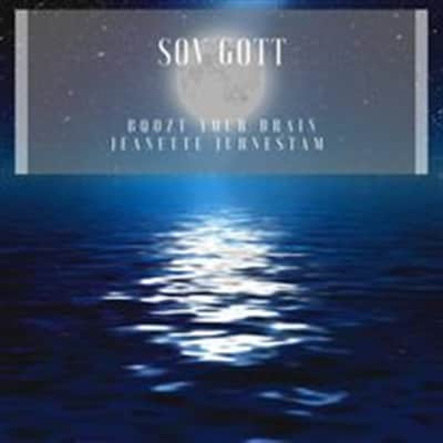 Sov Gott