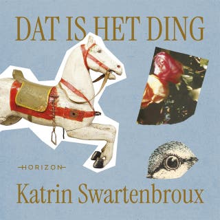 Dat is het ding – omslag van het luisterboek van Katrin Swartenbroux