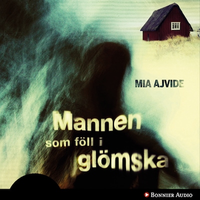 Mannen som föll i glömska