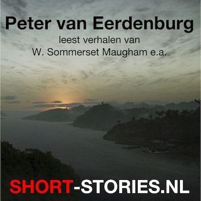 Peter van Eerdenburg