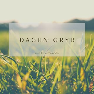 Dagen gryr – omslag till ljudboken av Lina Molander