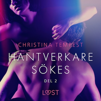 Hantverkare sökes Del 2 - erotisk novell