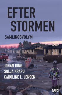Efter stormen – omslag till ljudboken av Caroline L. Jensen,Johan Ring,Solja Krapu-Kallio