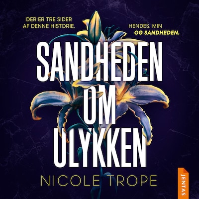 Sandheden om ulykken – omslag til lydbogen af Nicole Trope