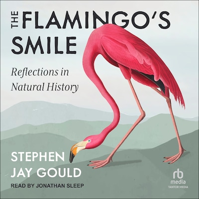 The Flamingo's Smile – omslag til lydbogen af Stephen Jay Gould