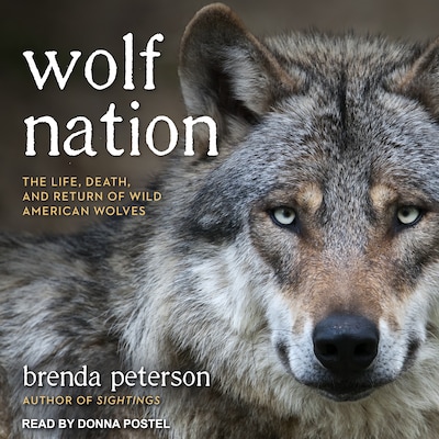 Wolf Nation – omslag til lydbogen af Brenda Peterson