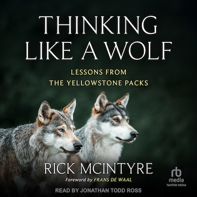 Thinking Like a Wolf – omslag til lydbogen af Rick McIntyre