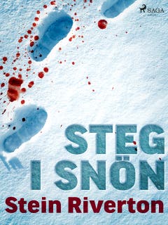 Steg i snön – omslag till ljudboken av Stein Riverton