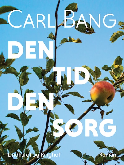 Den tid den sorg – omslag til lydbogen af Carl Bang