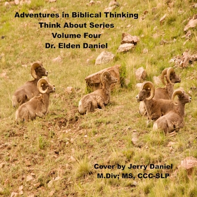 Adventures in Biblical Thinking  - Think About Series - Volume 4