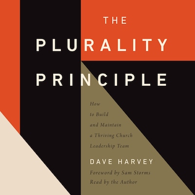 The Plurality Principle – omslag til lydbogen af Dave Harvey