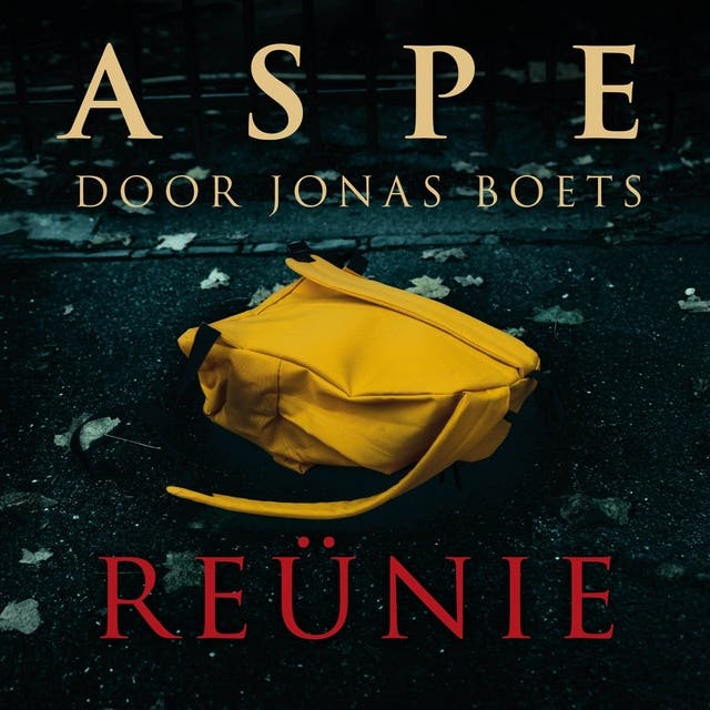 Reünie – omslag van het luisterboek van Jonas Boets
