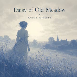 Daisy Of Old Meadow