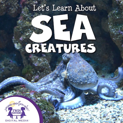 Let's Learn About Sea Creatures