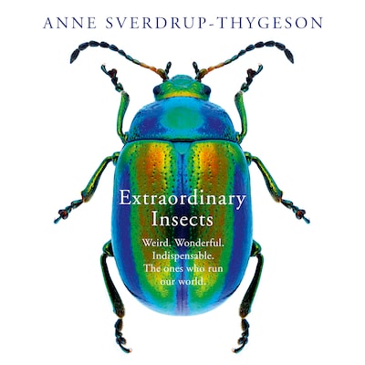 Extraordinary Insects