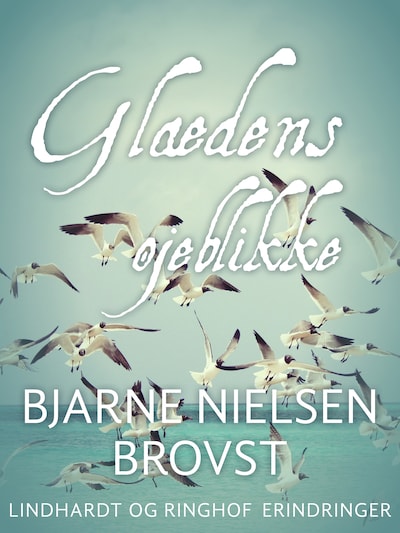 Glædens øjeblikke – omslag til lydbogen af Bjarne Nielsen Brovst