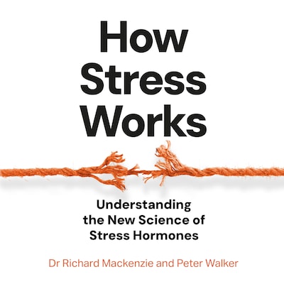 How Stress Works