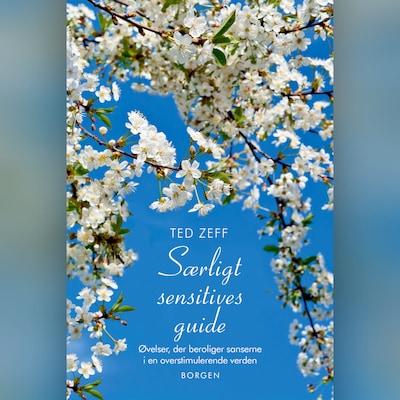 Særligt sensitives guide – omslag til lydbogen af Ted Zeff