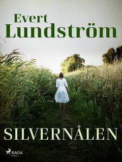 Silvernålen – omslag till ljudboken av Evert Lundström