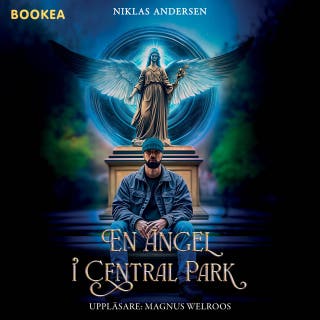 En ängel i Central Park