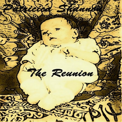 The Reunion  (Daniel McPherson Book 3)