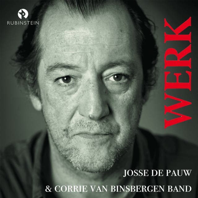 Werk: Josse de Pauw in concert