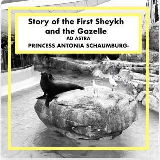 Story of the First Sheykh and the Gazelle: Ad Astra Grand Classics – omslag till ljudboken av Edward William Lane