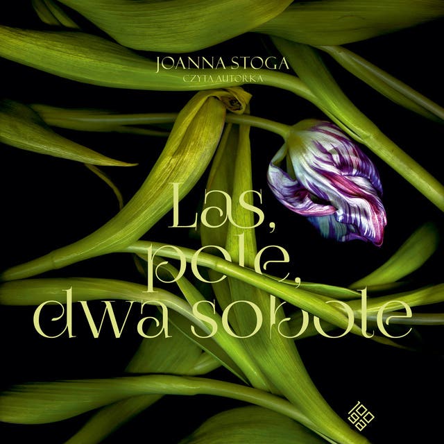 Las, pole, dwa sobole – okładka audiobooka, autor Joanna Stoga