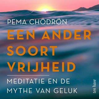 Een ander soort vrijheid: Meditatie en de mythe van geluk