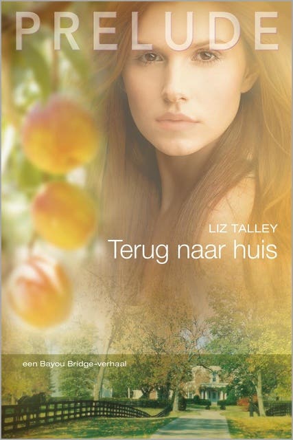 Terug naar huis: Bayou Bridge – omslag van het luisterboek van Liz Talley