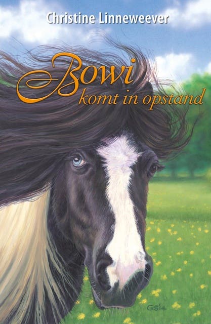 Bowi komt in opstand – omslag van het luisterboek van Christine Linneweever