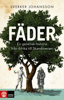 Fäder : en genetisk historia från Afrika till Skandinavien – omslag till ljudboken av Sverker Johansson