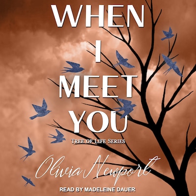 When I Meet You – omslag til lydbogen af Olivia Newport