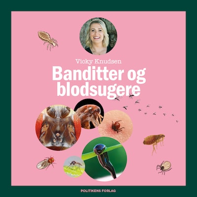 Banditter og blod-sugere - Læs selv-serie – omslag til lydbogen af Vicky Knudsen