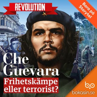 Che Guevara – Frihetskämpe eller terrorist?