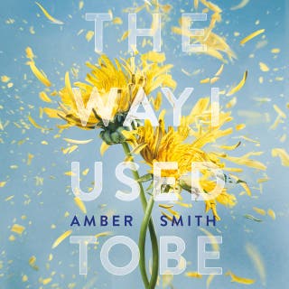 The way I used to be – omslag van het luisterboek van Amber Smith
