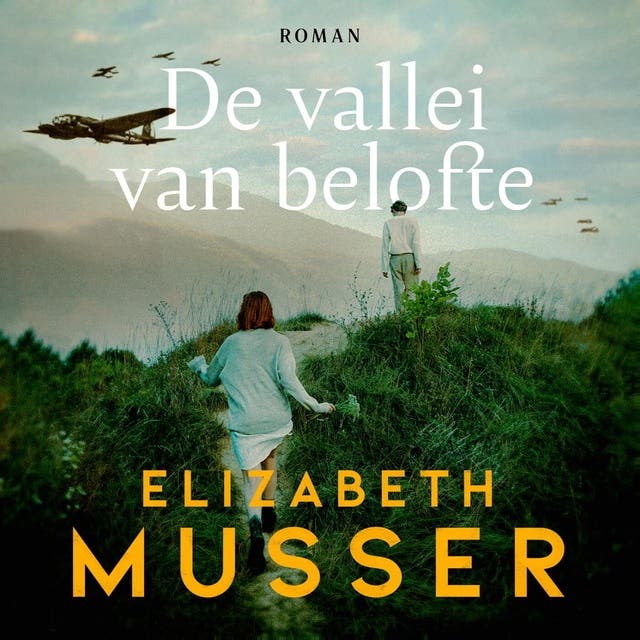 De vallei van belofte