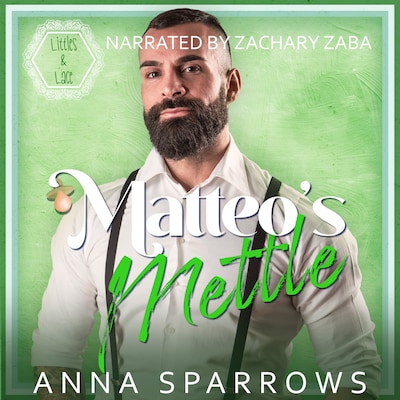 Matteo's Mettle – omslag til lydbogen af Anna Sparrows