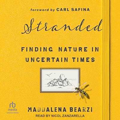 Stranded – omslag til lydbogen af Maddalena Bearzi
