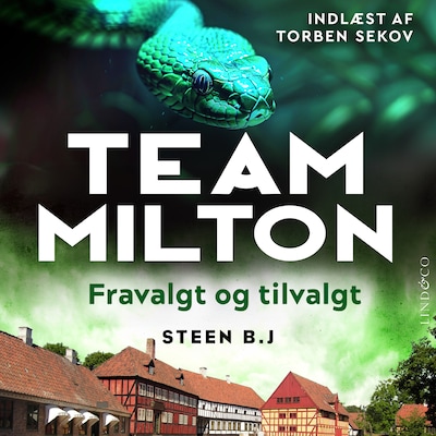 Fravalgt og tilvalgt – omslag til lydbogen af Steen B. J.