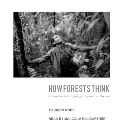 How Forests Think – omslag til lydbogen af Eduardo Kohn