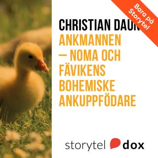 Ankmannen – Noma och Fävikens bohemiske ankuppfödare