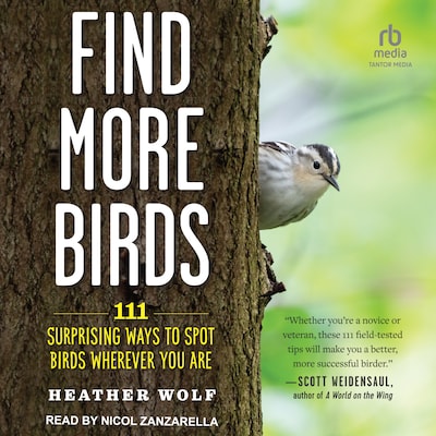 Find More Birds – omslag til lydbogen af Heather Wolf