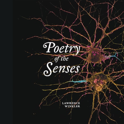 Poetry of the senses – omslag til lydbogen af Lawrence Winkler