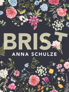 Brist