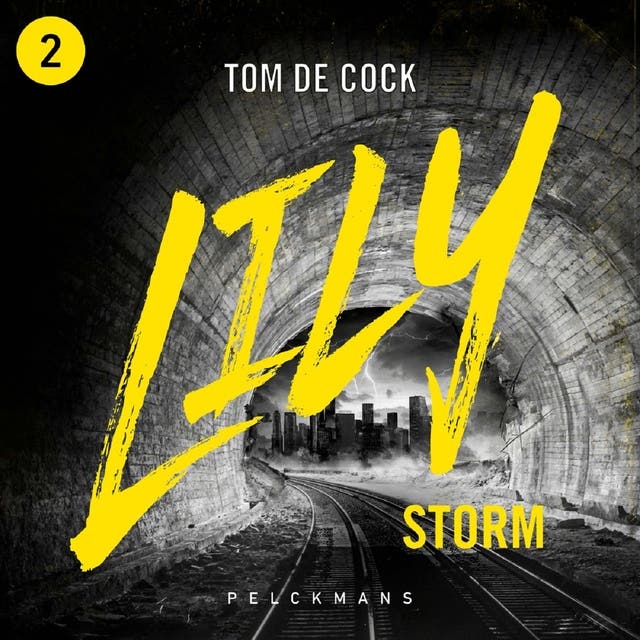 Storm – omslag van het luisterboek van Tom de Cock