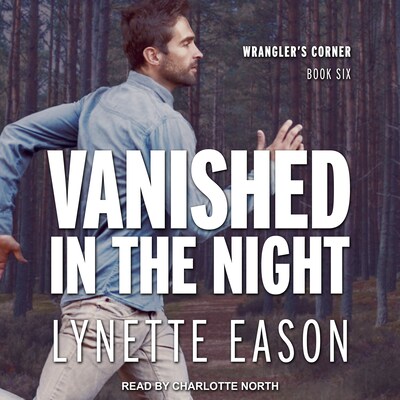 Vanished in the Night – omslag til lydbogen af Lynette Eason