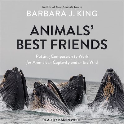 Animals' Best Friends – omslag til lydbogen af Barbara J. King